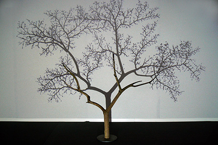 L'arbre et son ombre IV
